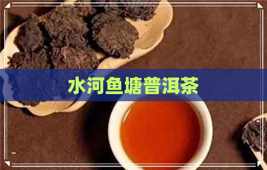 水河鱼塘普洱茶