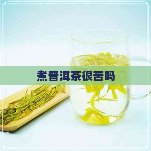 煮普洱茶很苦吗