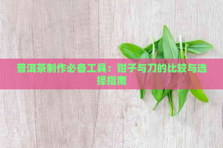 普洱茶制作必备工具：钳子与刀的比较与选择指南