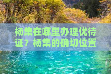 杨集在哪里办理优待证？杨集的确切位置及杨集乡、镇概况