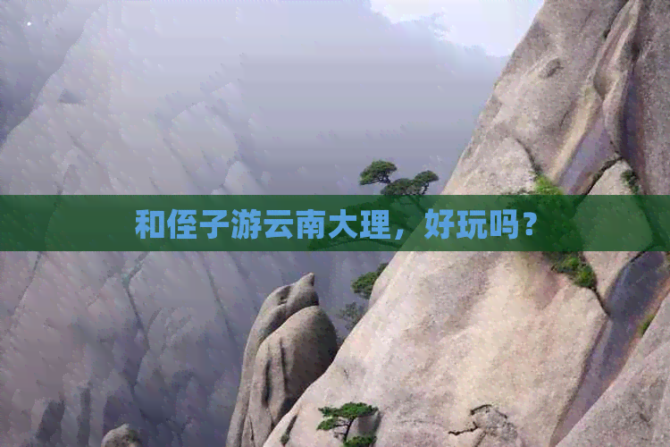 和侄子游云南大理，好玩吗？