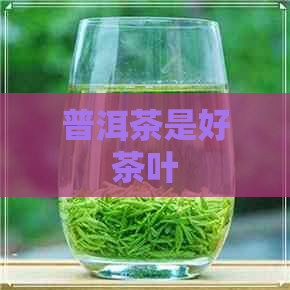 普洱茶是好茶叶