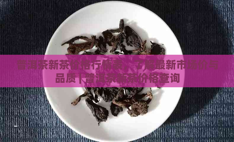 普洱茶新茶价格行情表，了解最新市场价与品质 | 普洱茶新茶价格查询