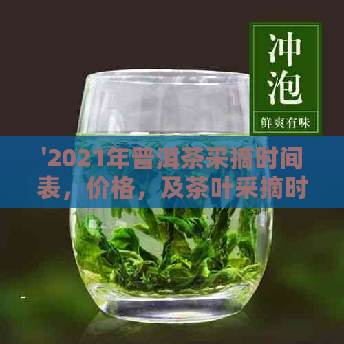 '2021年普洱茶采摘时间表，价格，及茶叶采摘时期全解析'