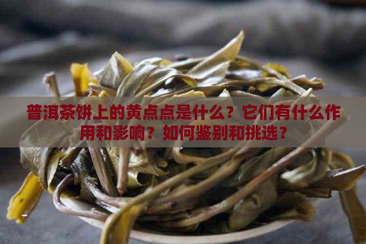 普洱茶饼上的黄点点是什么？它们有什么作用和影响？如何鉴别和挑选？