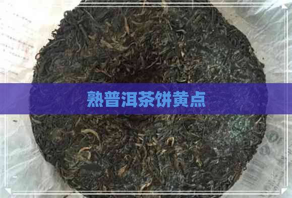 熟普洱茶饼黄点