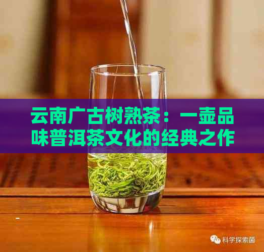 云南广古树熟茶：一壶品味普洱茶文化的经典之作