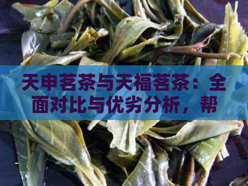 天申茗茶与天福茗茶：全面对比与优劣分析，帮助您选择最适合的茶叶