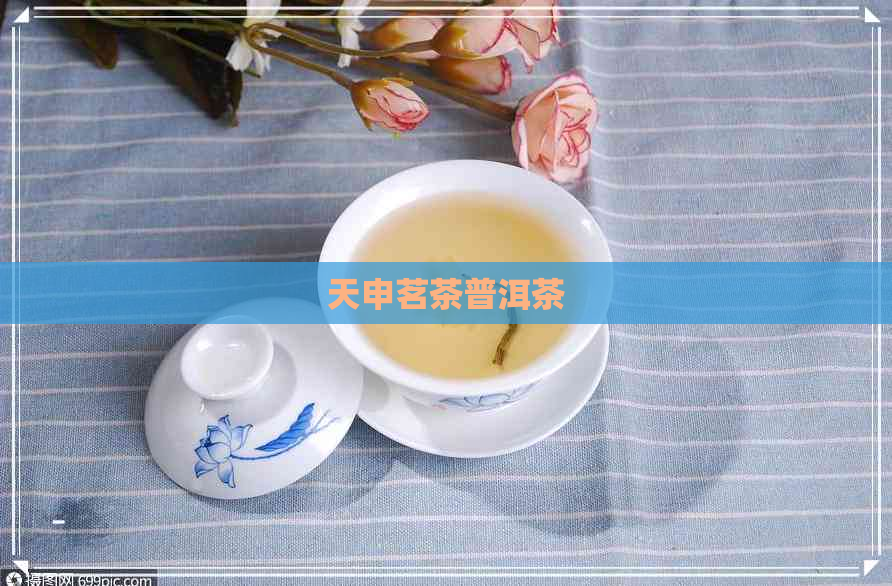 天申茗茶普洱茶