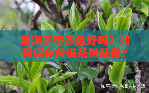 普洱茶带茶盘好吗？如何保存普洱茶带茶盘？