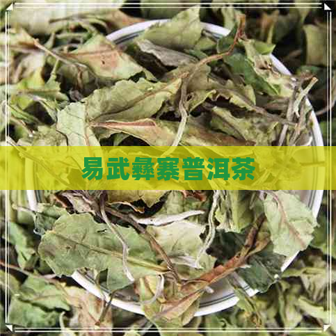 易武彝寨普洱茶