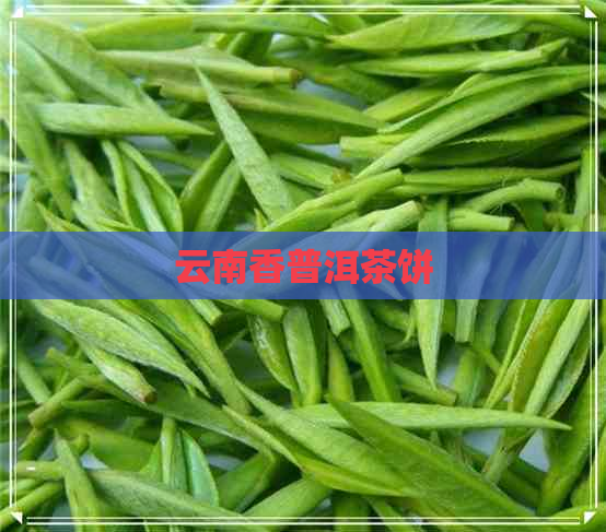 云南香普洱茶饼