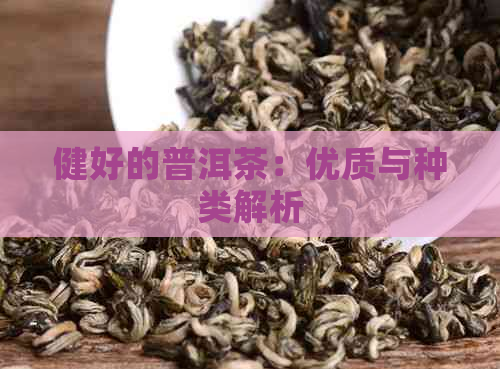 健好的普洱茶：优质与种类解析