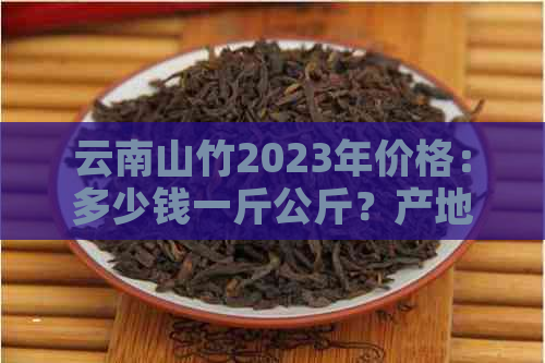 云南山竹2023年价格：多少钱一斤公斤？产地与优信息