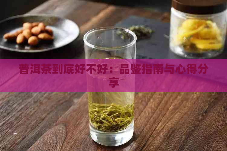 普洱茶到底好不好：品鉴指南与心得分享