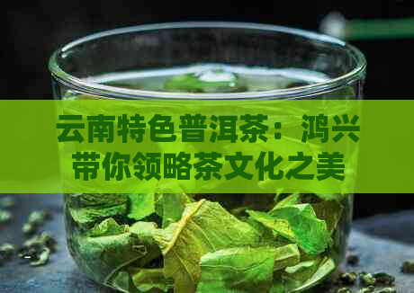 云南特色普洱茶：鸿兴带你领略茶文化之美