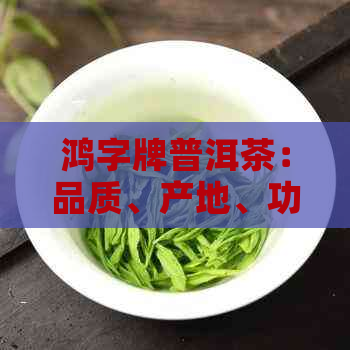 鸿字牌普洱茶：品质、产地、功效与冲泡方法的全面解析