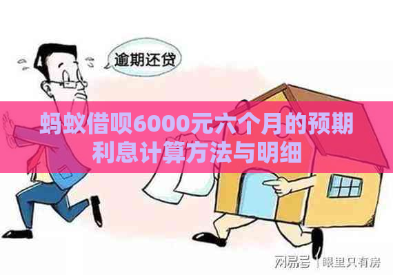 蚂蚁借呗6000元六个月的预期利息计算方法与明细