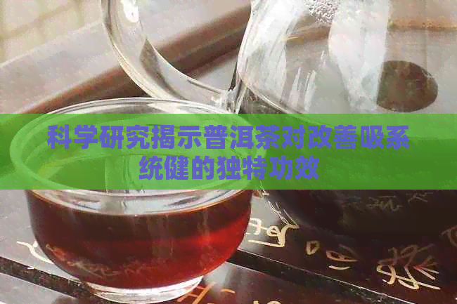 科学研究揭示普洱茶对改善吸系统健的独特功效