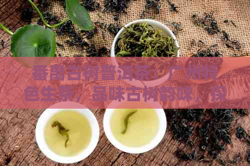 番禺古树普洱茶：广州特色生茶，品味古树韵味，探寻普洱茶文化