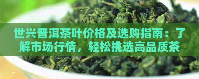 世兴普洱茶叶价格及选购指南：了解市场行情，轻松挑选高品质茶叶