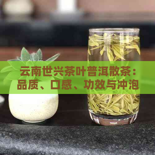 云南世兴茶叶普洱散茶：品质、口感、功效与冲泡方法全面解析