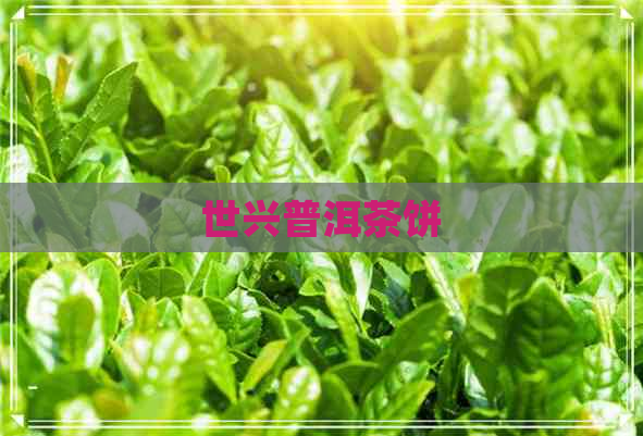 世兴普洱茶饼