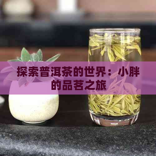 探索普洱茶的世界：小胖的品茗之旅