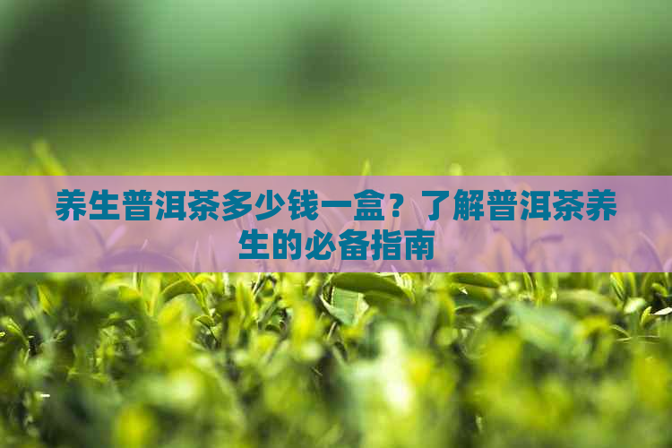 养生普洱茶多少钱一盒？了解普洱茶养生的必备指南