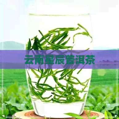 云南星辰普洱茶