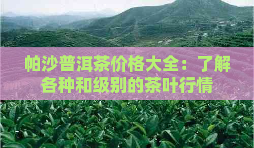 帕沙普洱茶价格大全：了解各种和级别的茶叶行情