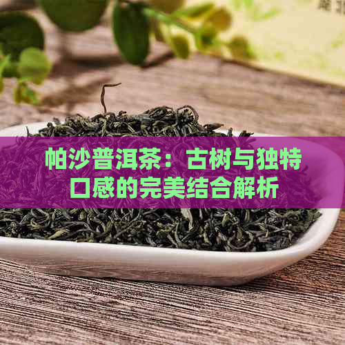 帕沙普洱茶：古树与独特口感的完美结合解析