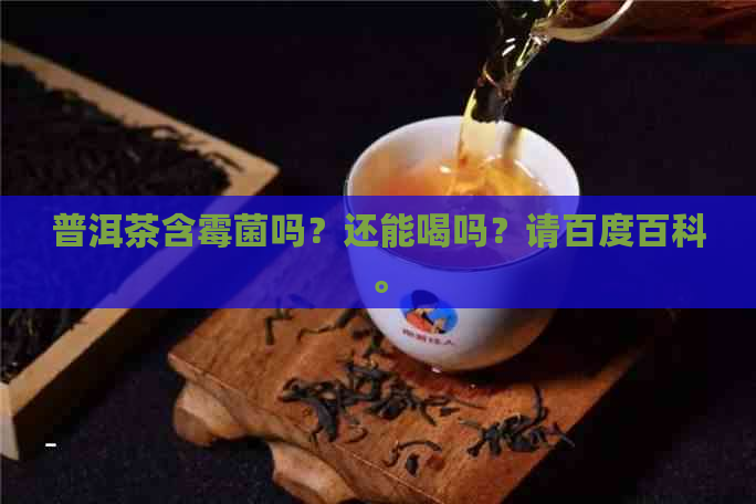 普洱茶含霉菌吗？还能喝吗？请百度百科。