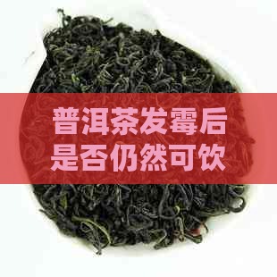 普洱茶发霉后是否仍然可饮用：霉菌检测与处理指南