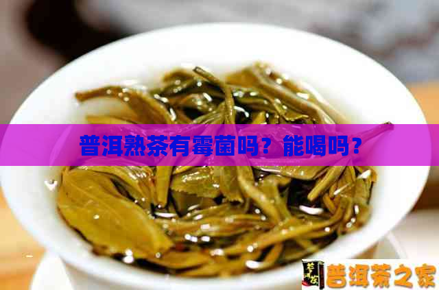 普洱熟茶有霉菌吗？能喝吗？