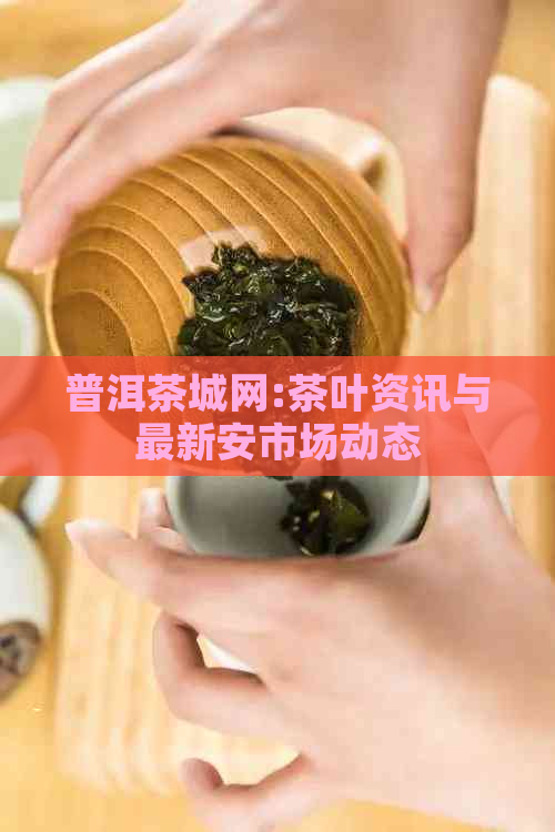 普洱茶城网:茶叶资讯与最新安市场动态