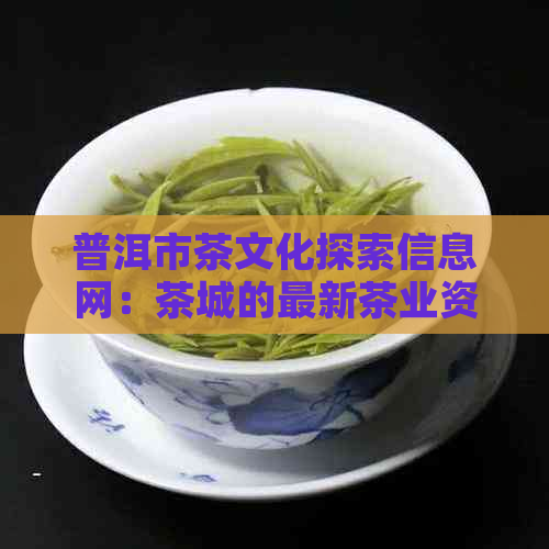 普洱市茶文化探索信息网：茶城的最新茶业资讯与文化活动