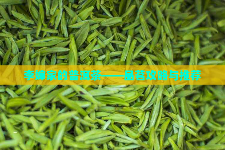 李婶家的普洱茶——品茗攻略与推荐