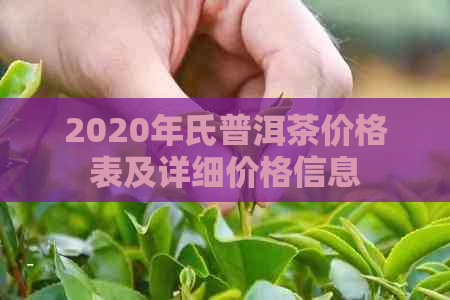 2020年氏普洱茶价格表及详细价格信息