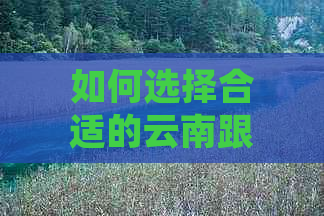 如何选择合适的云南跟团旅游线路与交通方式