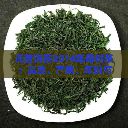 氏普洱茶2014年母树茶：品质、产地、年份与风味全面解析