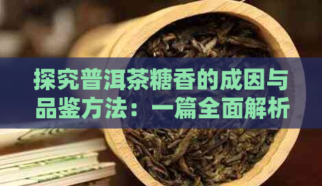 探究普洱茶糖香的成因与品鉴方法：一篇全面解析