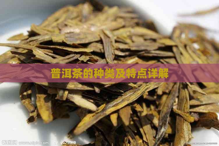 普洱茶的种类及特点详解