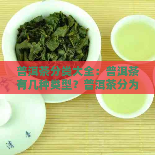 普洱茶分类大全：普洱茶有几种类型？普洱茶分为哪几种类型？