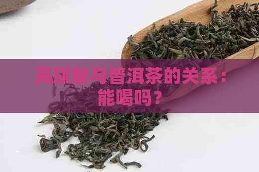 高尿酸与普洱茶的关系：能喝吗？