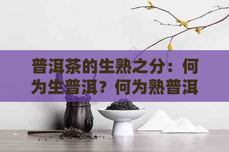 普洱茶的生熟之分：何为生普洱？何为熟普洱？以及它们各自的特点和饮用方法