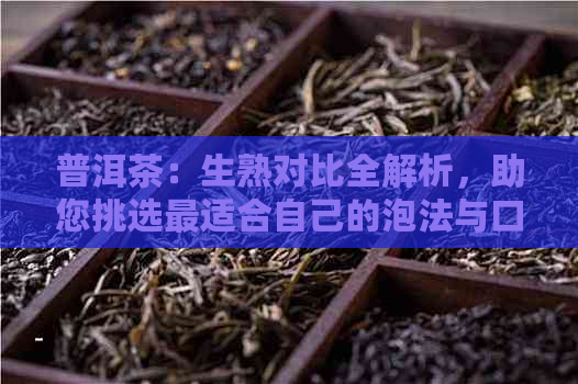 普洱茶：生熟对比全解析，助您挑选最适合自己的泡法与口感