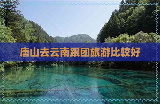 唐山去云南跟团旅游比较好