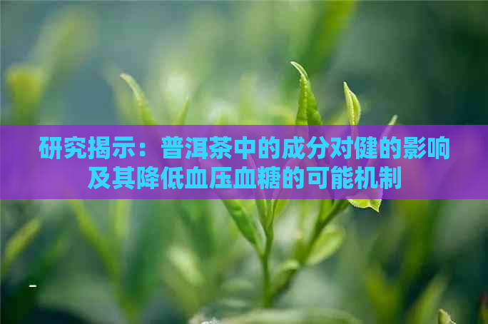 研究揭示：普洱茶中的成分对健的影响及其降低血压血糖的可能机制