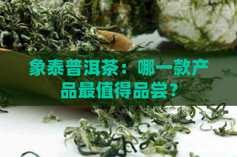 象泰普洱茶：哪一款产品最值得品尝？